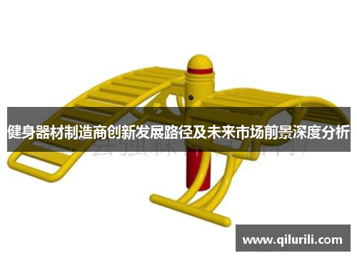 健身器材制造商创新发展路径及未来市场前景深度分析