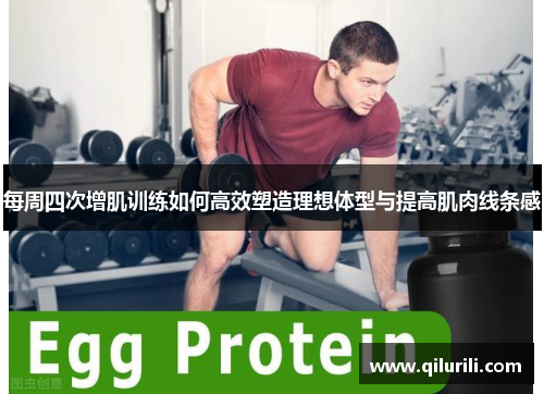 每周四次增肌训练如何高效塑造理想体型与提高肌肉线条感