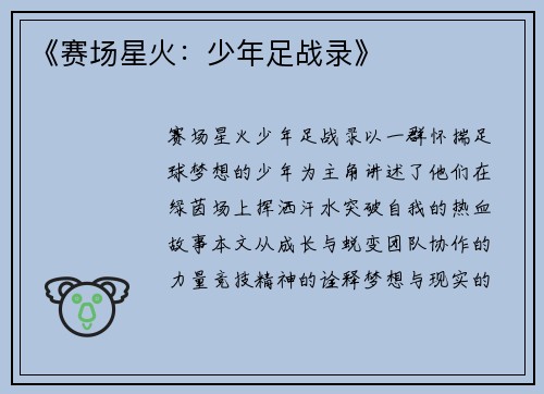 《赛场星火：少年足战录》